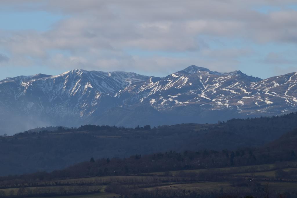 Chateau Des Aiguilles Saint-Rémy-de-Chargnat Exteriér fotografie