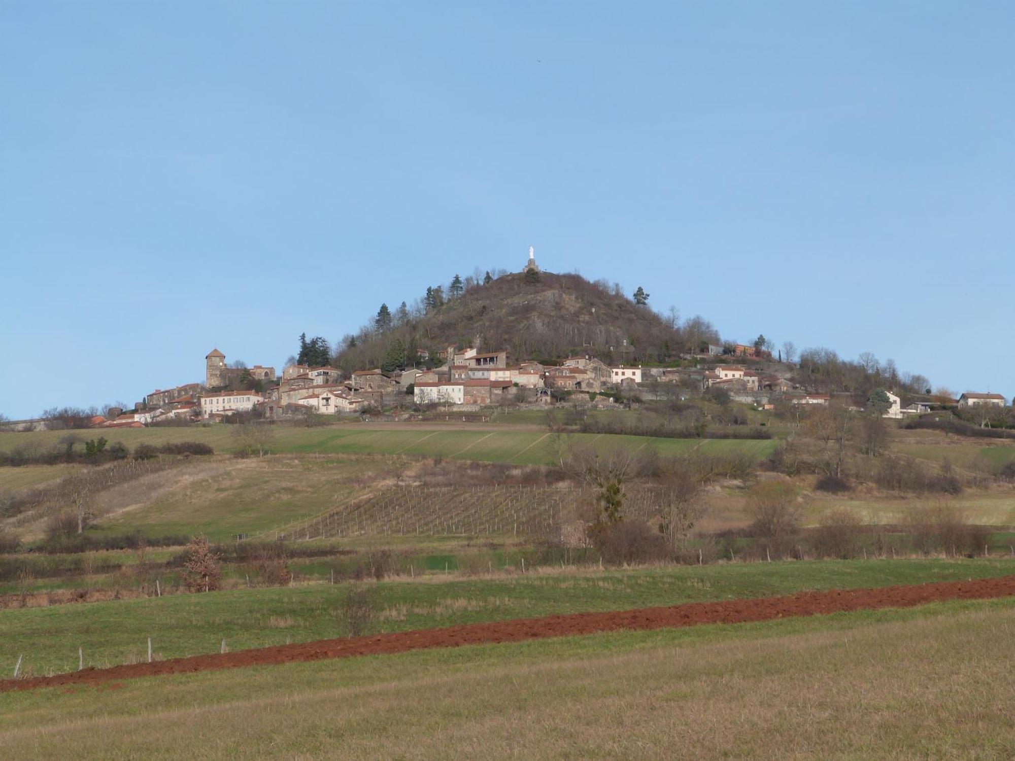 Chateau Des Aiguilles Saint-Rémy-de-Chargnat Exteriér fotografie